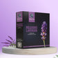 Meadows Lavender Premium Incense Sticks